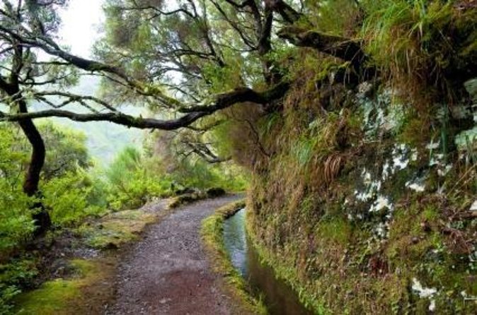 Wine Tasting Experience in Boaventura, Madeira North Coast - The 1.5-Hour Flow: What You Do From 4:00 pm to Finish