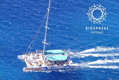 Wines Tasting Experience and Skywalk with Dolphin Watching - Onboard Wi‑Fi and an English-speaking guide