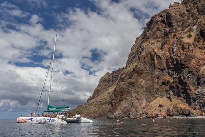 Wines Tasting Experience and Skywalk with Dolphin Watching - Wine tasting on Madeira: traditions, a guided flight, and a good setting