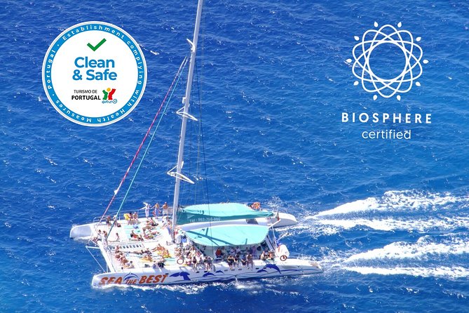 Wines Tasting Experience and Skywalk with Dolphin Watching - The dolphin and whale boat trip at 3 pm: exciting, but watch the narration